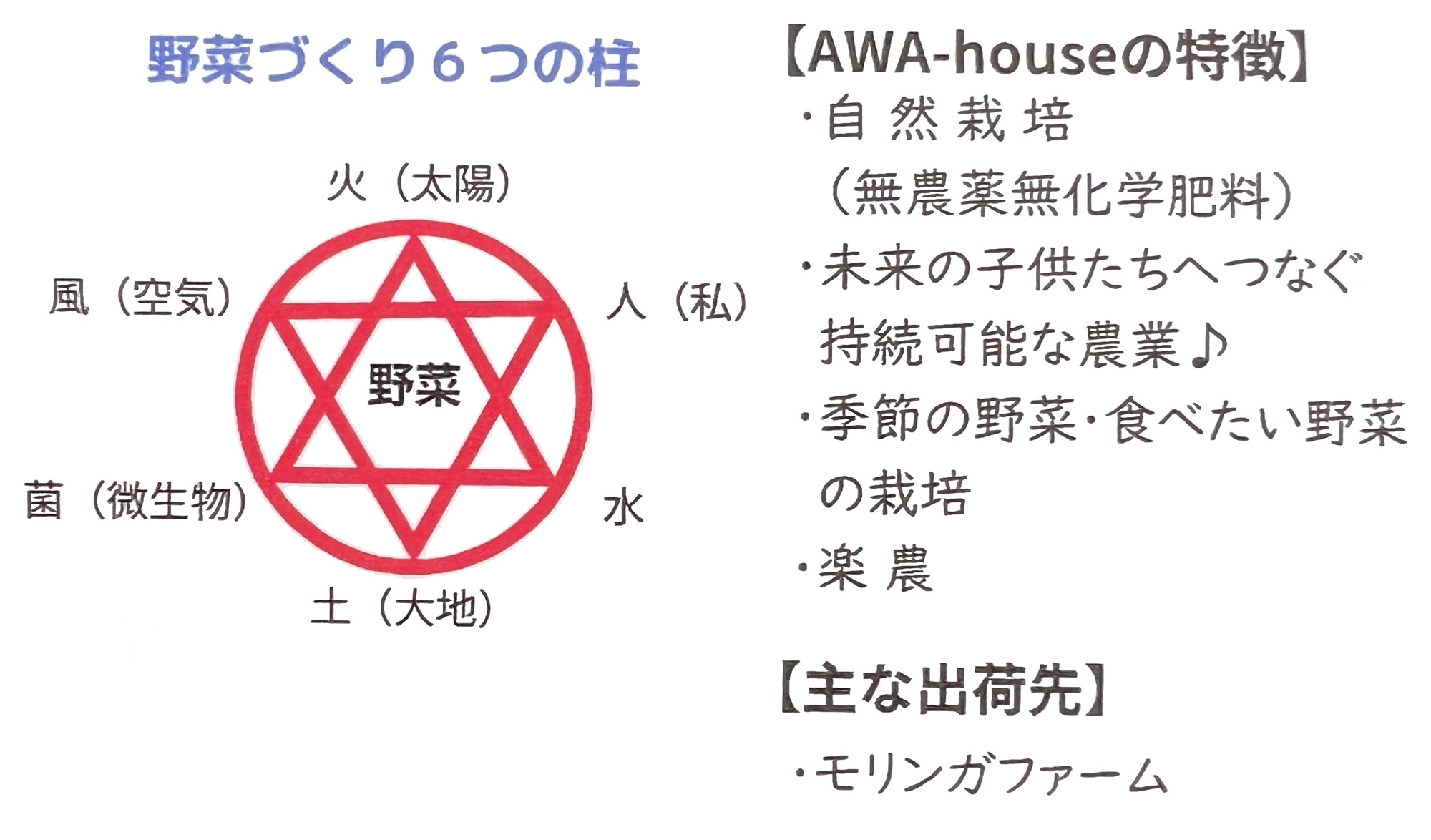 自然栽培で育てられた新鮮な野菜